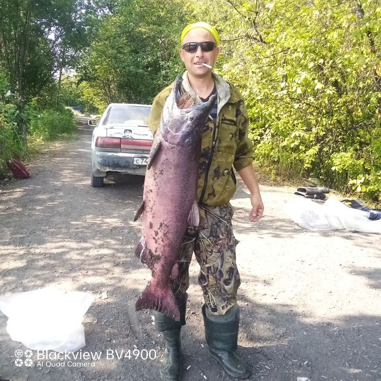 ���������� �������������-����������, ���� ������� �������, 41 ���, ������������ ��� ������, ����� � ���������