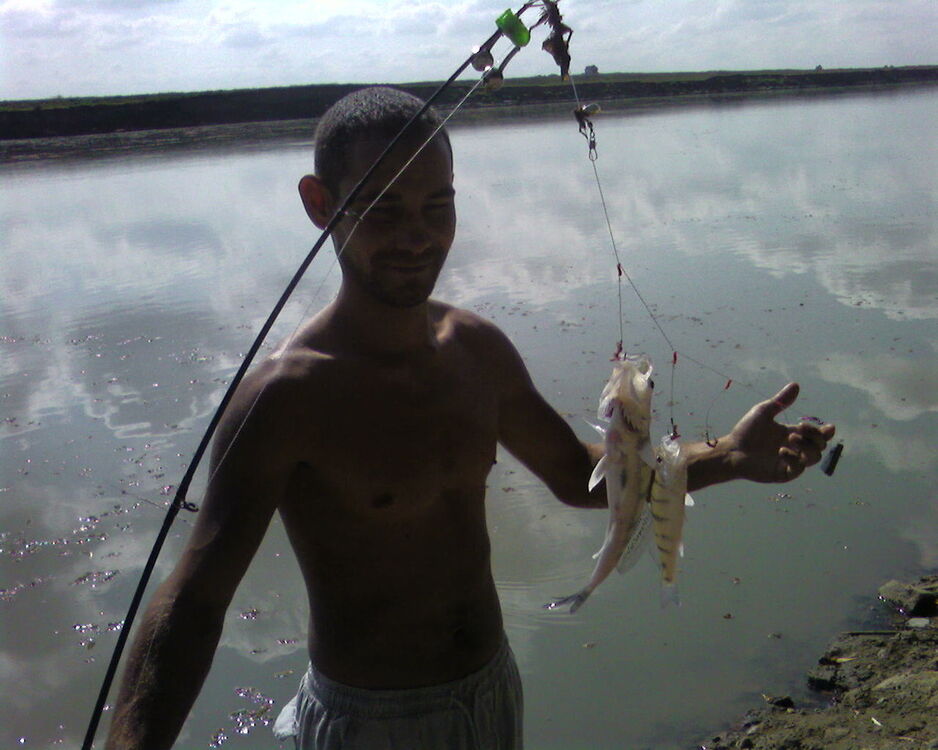 ���� 11016649 ������� ����, 47 ���, ���� ���������� � ����������