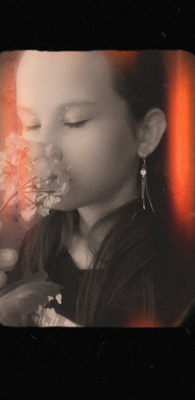 ���������� �����������, ���� ������� ���������, 25 ���, ������������ ��� ������, ����� � ���������