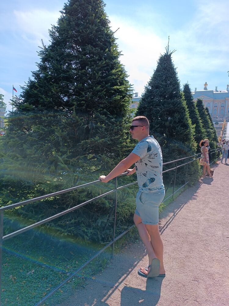  28909359  , 25 ,    -