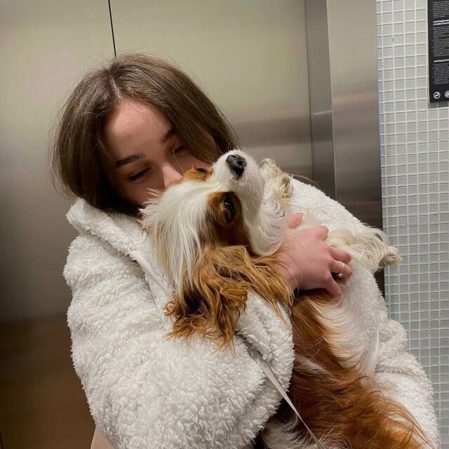 ���������� �������, ���� ������� ������, 23 ����, ������������ ��� ������, ����� � ���������