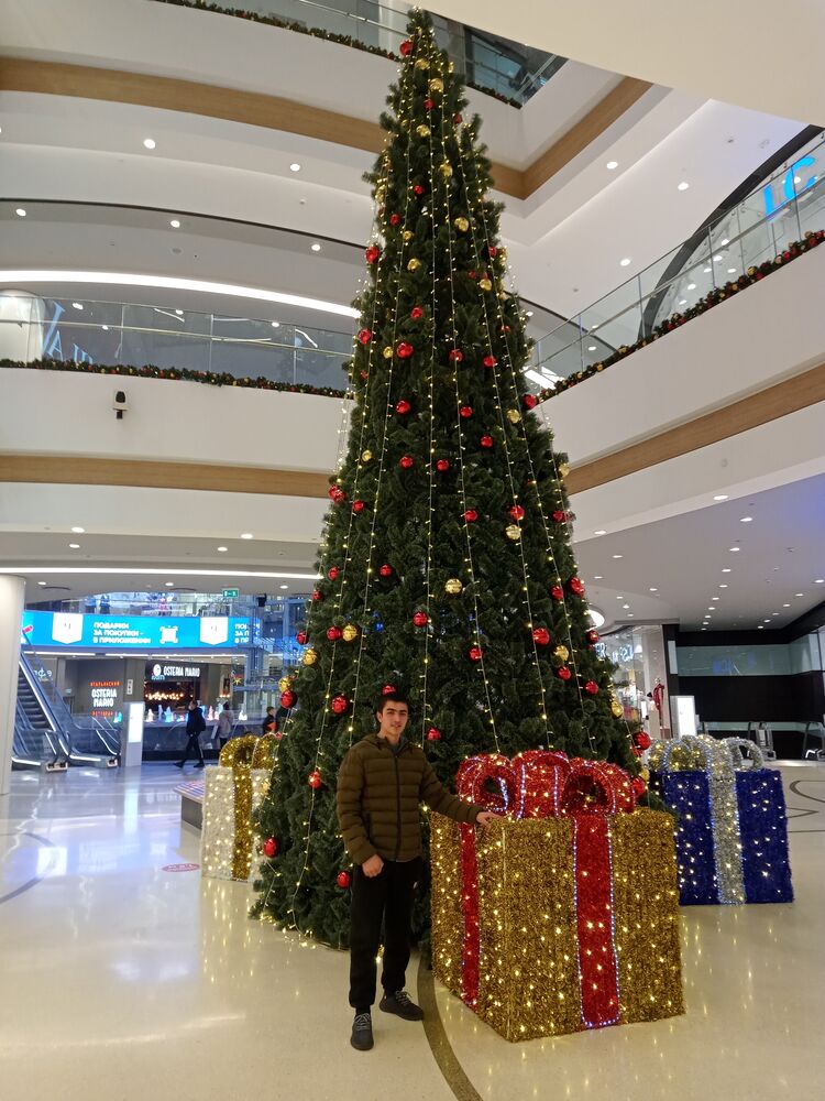 ���� 24503439 ����� ��������, 24 ����, ���� ���������� � ������