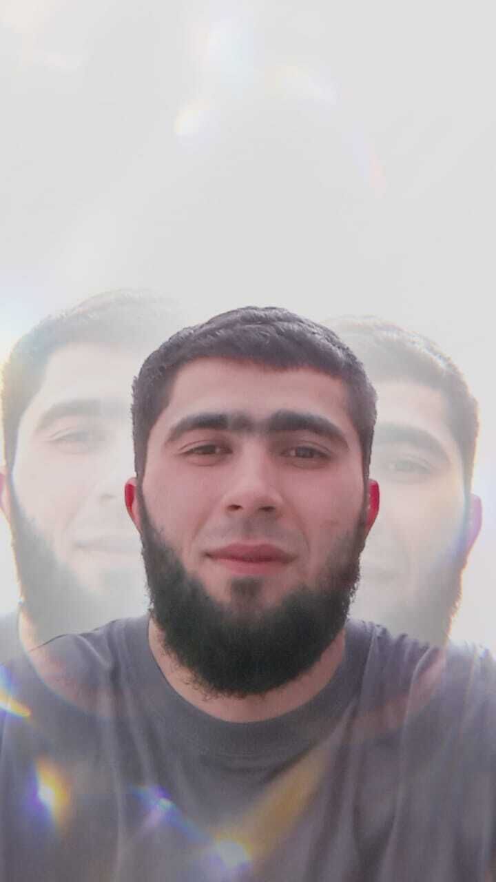  53083319  , 29 ,    