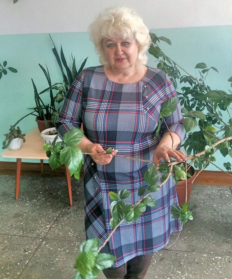  -,   , 62 ,     , c 
