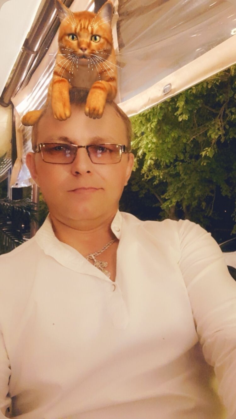  43813739  , 41 ,    