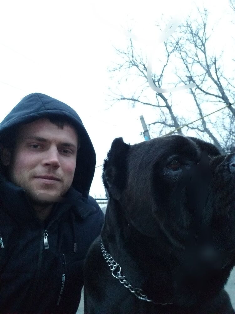 ���������� �������, ���� ������� Victor, 31 ���, ������������ ��� ������, ����� � ���������, c�������� ���������