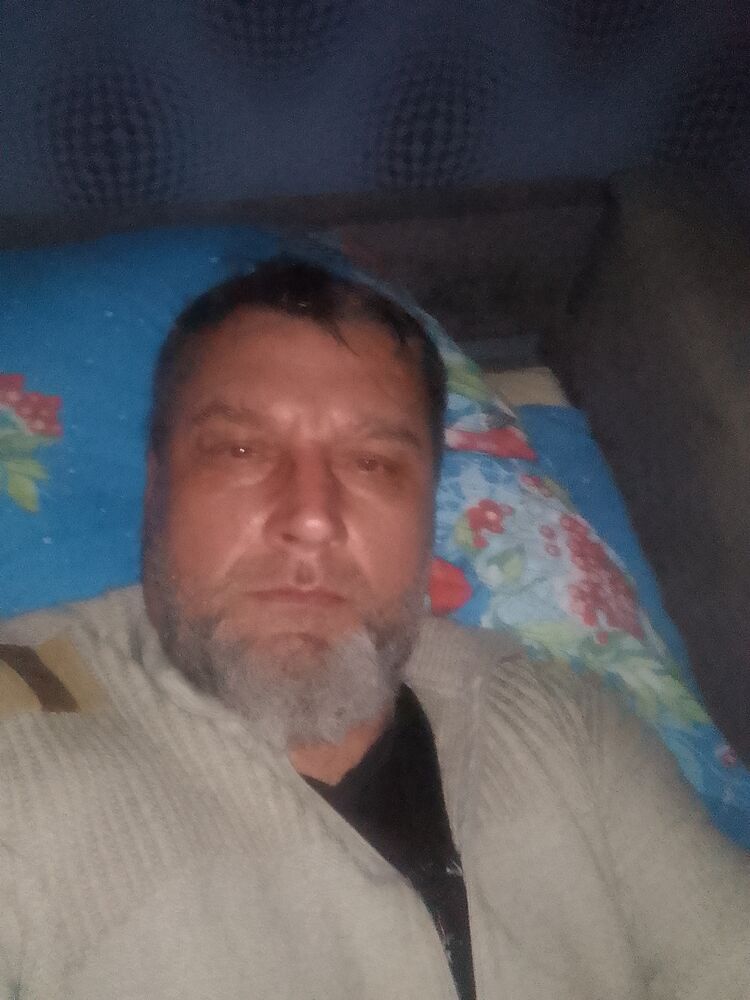 ���� 55592479 ������� �������, 40 ���, ���� ���������� � ������