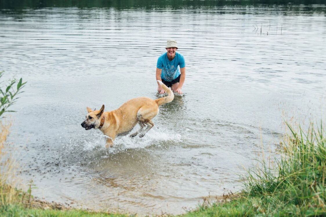 ���� 43953619 ������� �������, 35 ���, ���� ���������� � �����������