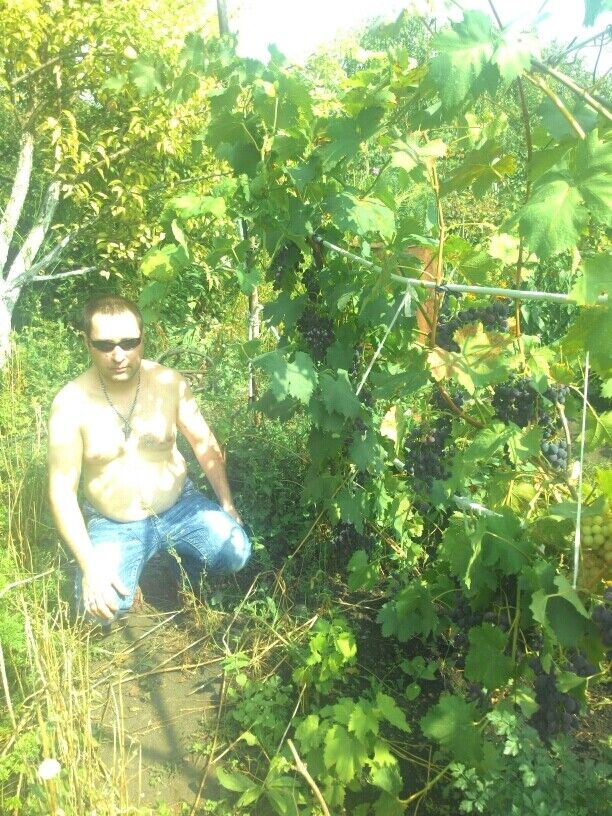 ���� 20954449 ������� �����, 51 ���, ���� ���������� � ����������