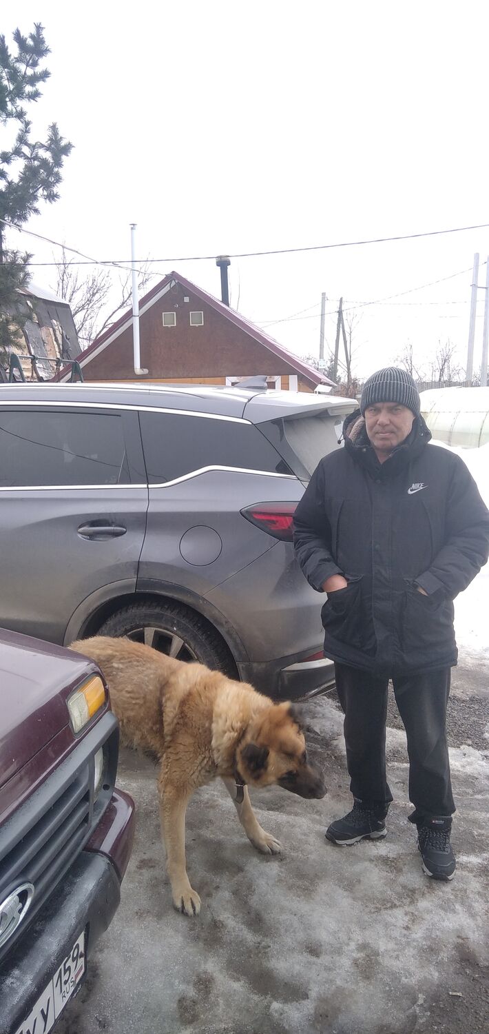 ���� 56090159 ������� �������, 50 ���, ���� ���������� � �����