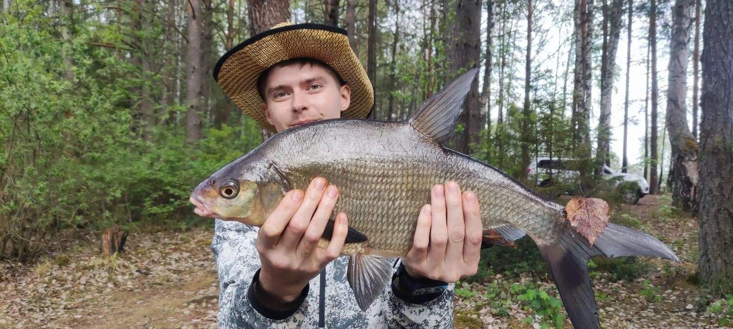 ���������� �����, ���� ������� �����, 29 ���, ������������ ��� ����� � ���������, c�������� ���������