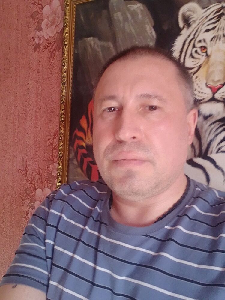  33810149  , 49 ,     