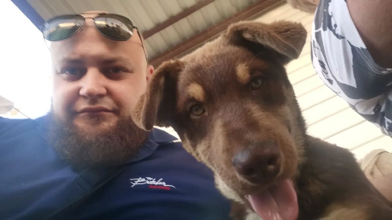 ���������� ������-��-����, ���� ������� ������, 29 ���, ������������ ��� ����� � ���������, c�������� ���������