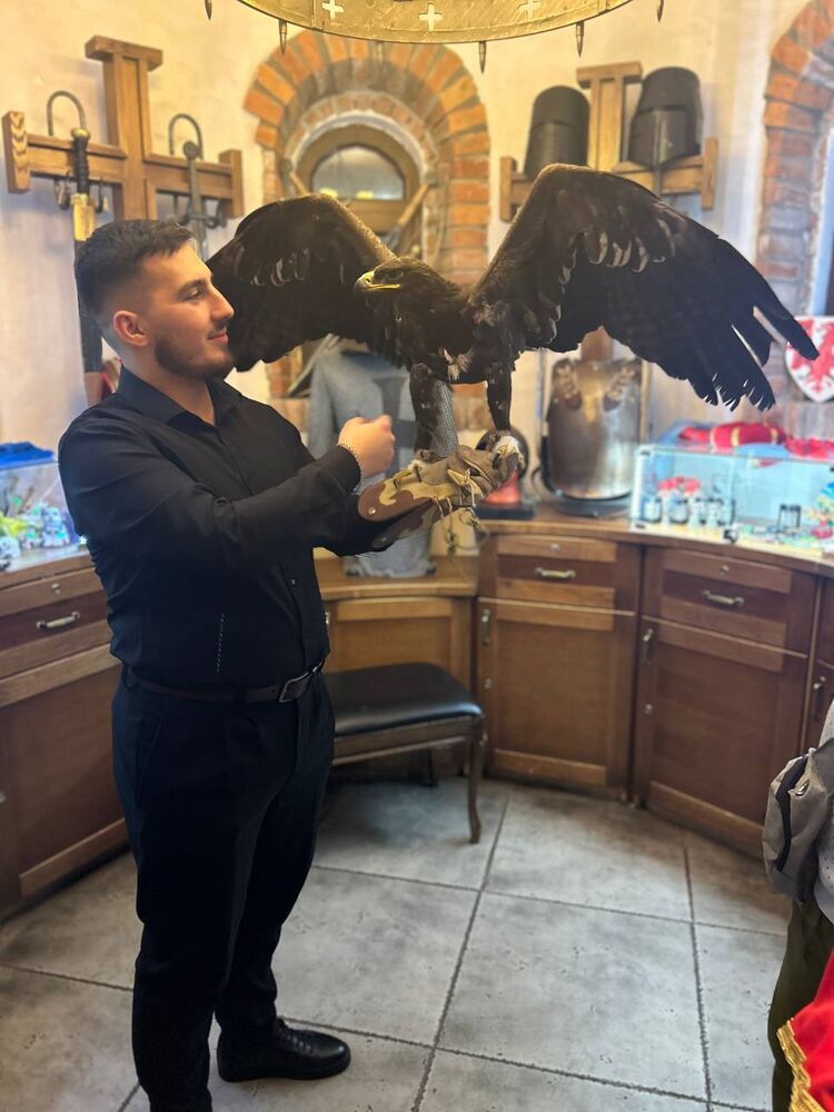 ���� 53214429 ����� ��������, 21 ���, ���� ���������� � ������������