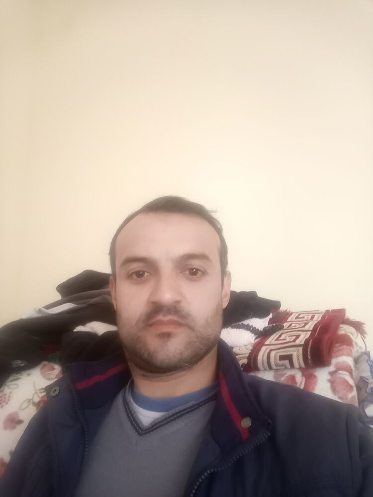  40575969  , 38 ,    -
