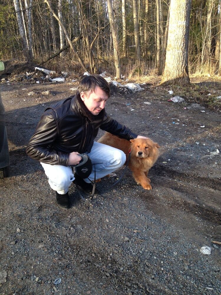  8023449  , 49 ,    -