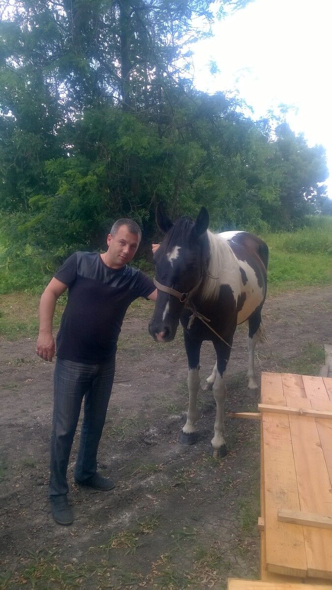 ���������� ����, ���� ������� ��������, 37 ���, ������������ ��� ������, ����� � ���������, c�������� ���������