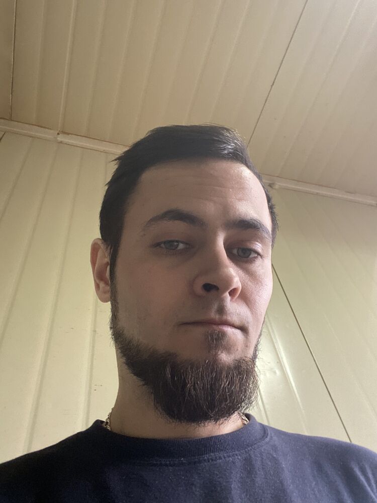  33077569  , 31 ,     