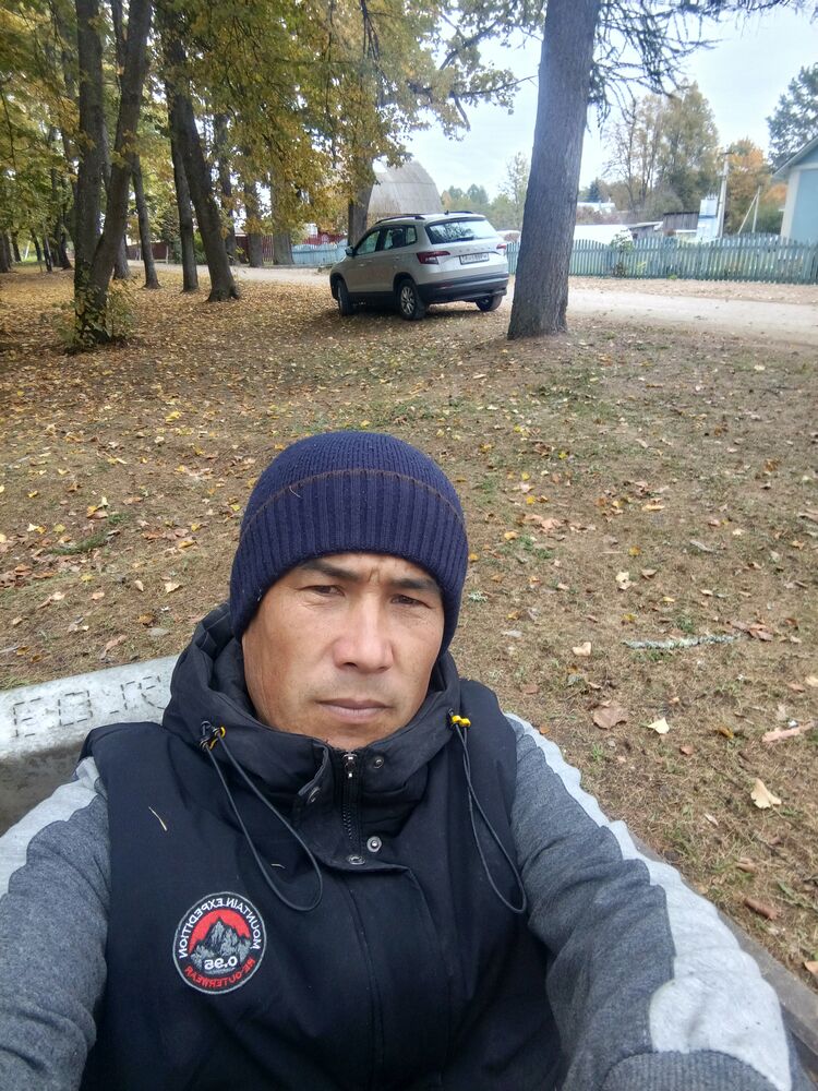  ,   Wolfov, 37 ,   ,   