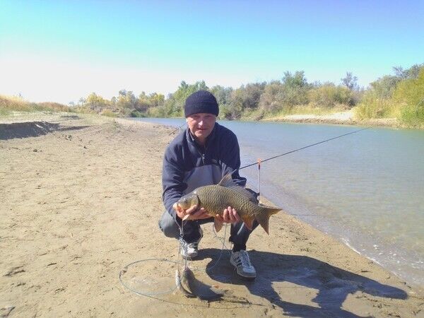  23352839  Vitaliy, 61 ,    
