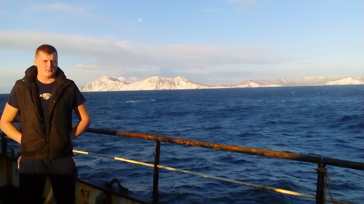  8462129  , 31 ,    -