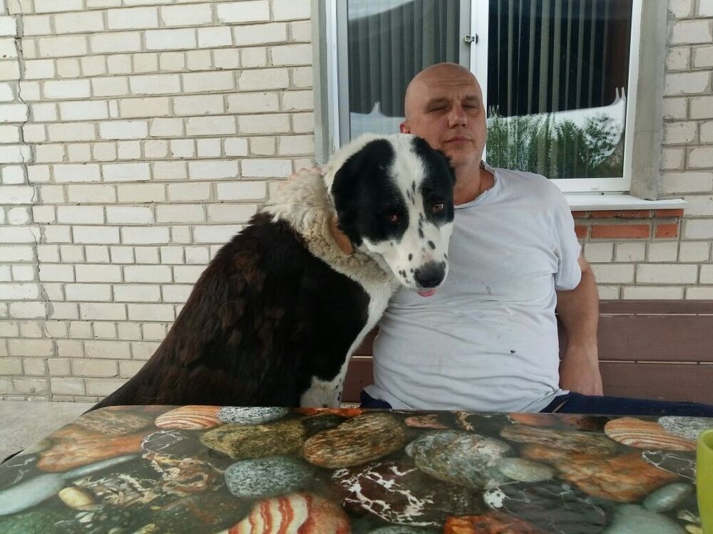 ���������� �������, ���� ������� �����, 58 ���, ������������ ��� ������