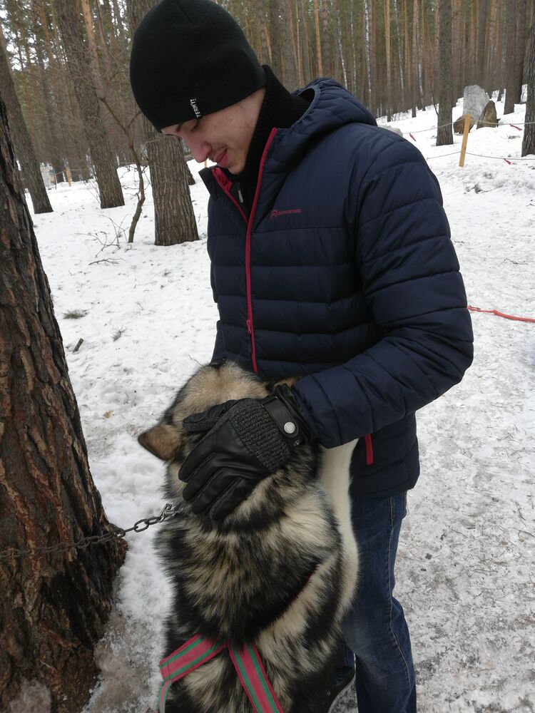 ���������� ��������, ���� ������� ����������, 32 ����, ������������ ��� ������, ����� � ���������, c�������� ���������, ���������