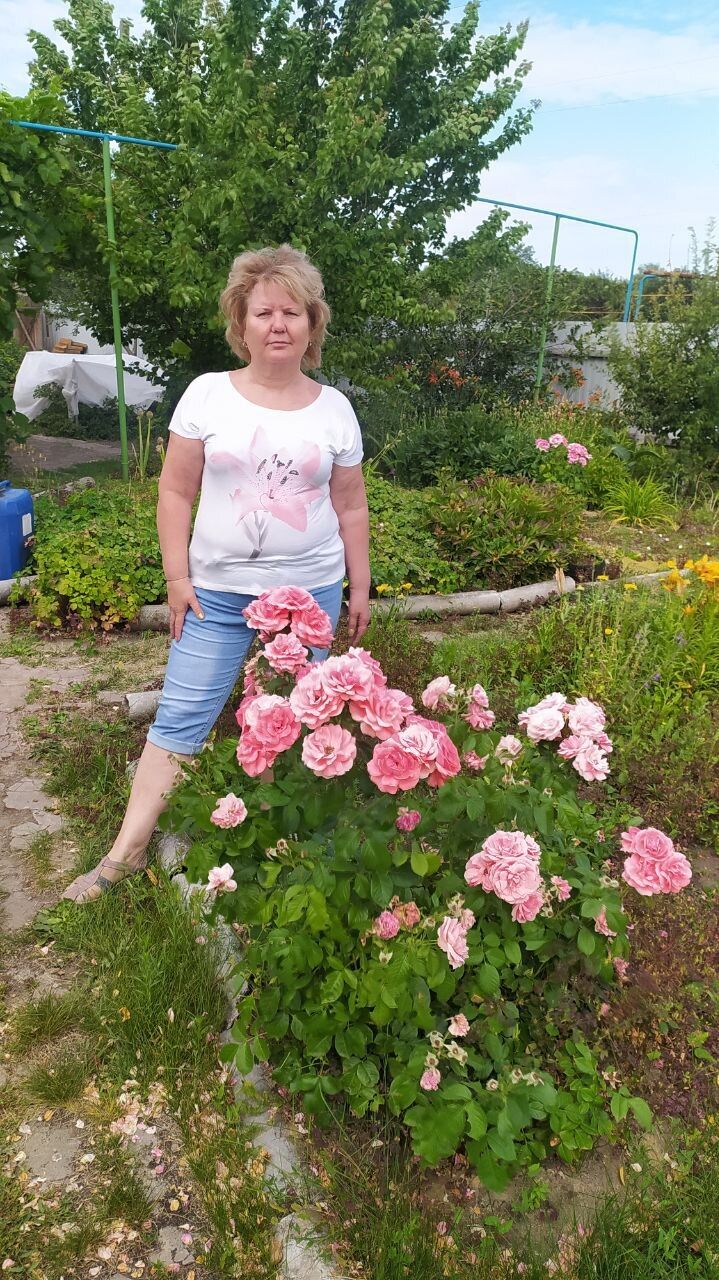  52351019  , 58 ,    -