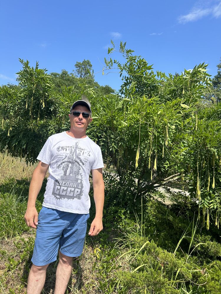  54809159  , 42 ,    --