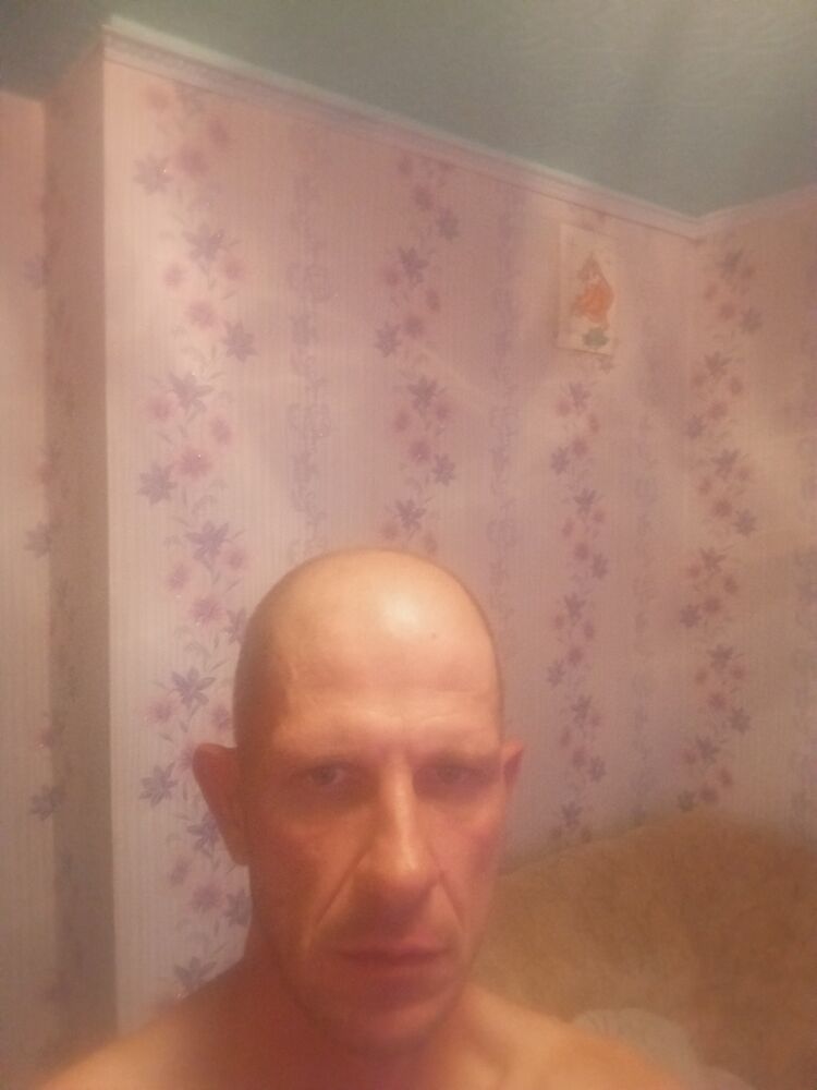  45491189  , 43 ,    