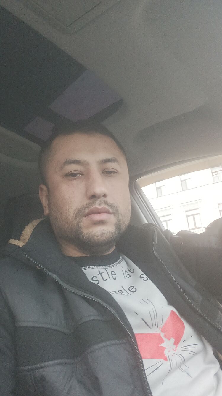  50346759  , 41 ,    -