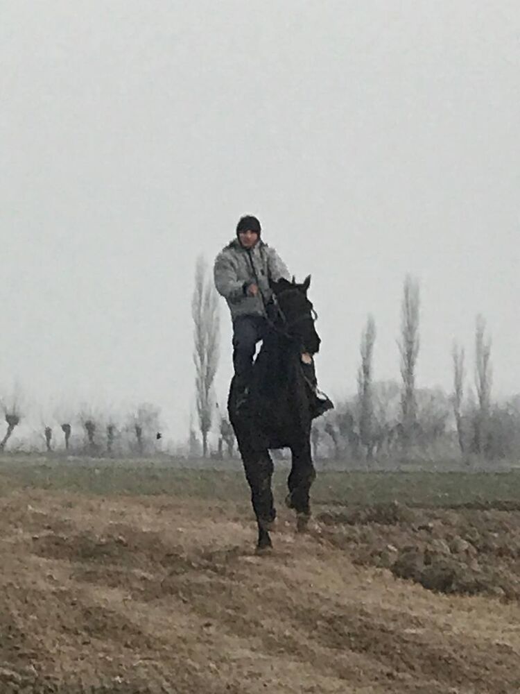 ���� 50015669 ����� Saidakbar, 25 ���, ���� ���������� � ���������