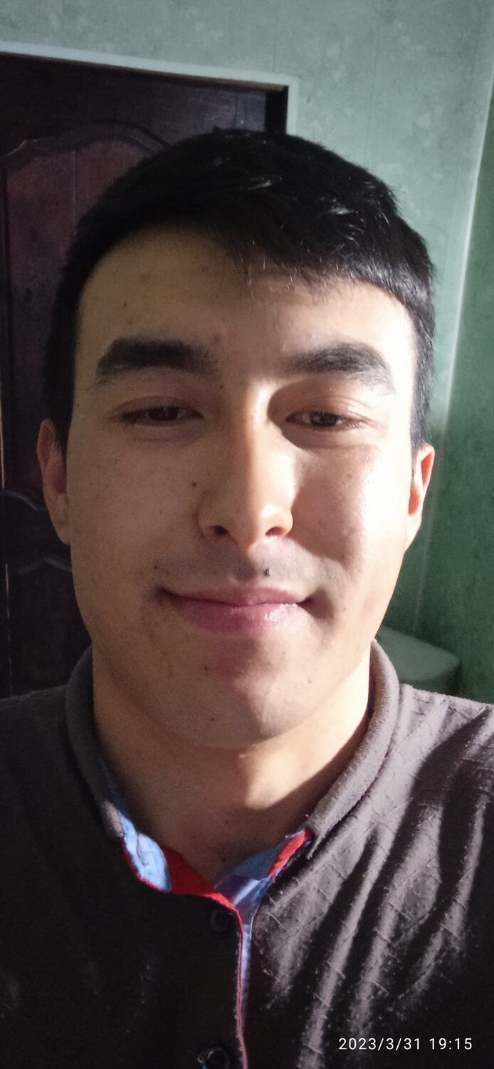  33537839  , 23 ,    