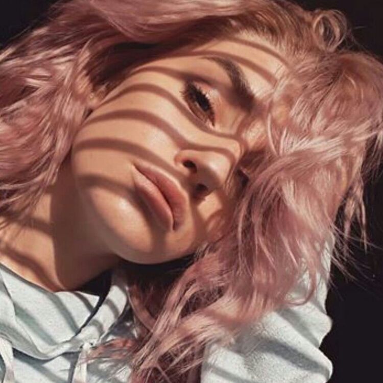  19022979  , 23 ,     