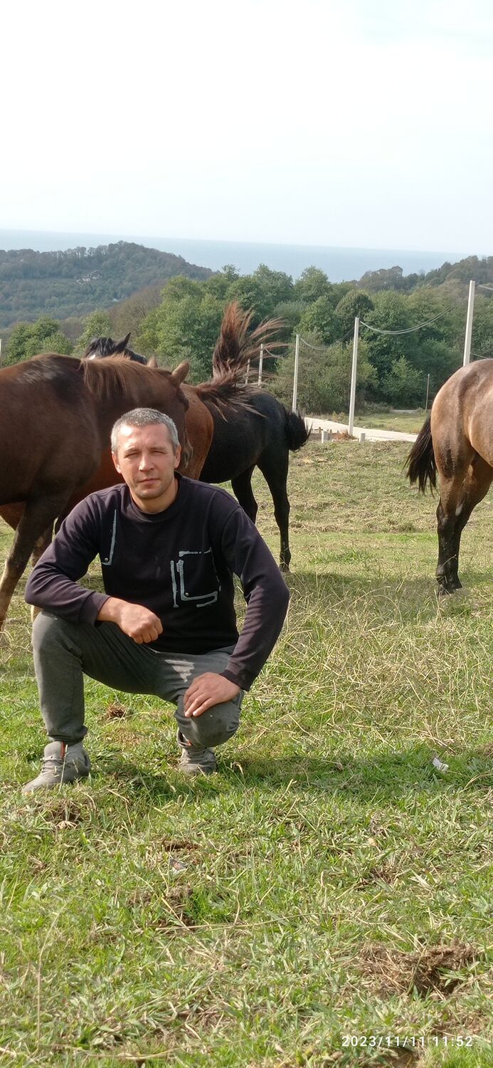 ���������� ������-��-����, ���� ������� ���, 42 ����, ������������ ��� ������, ����� � ���������, c�������� ���������