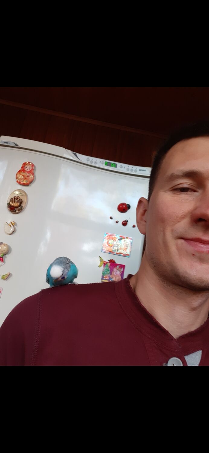 ���� 41070049 ������� Lev, 34 ����, ���� ���������� � ����������