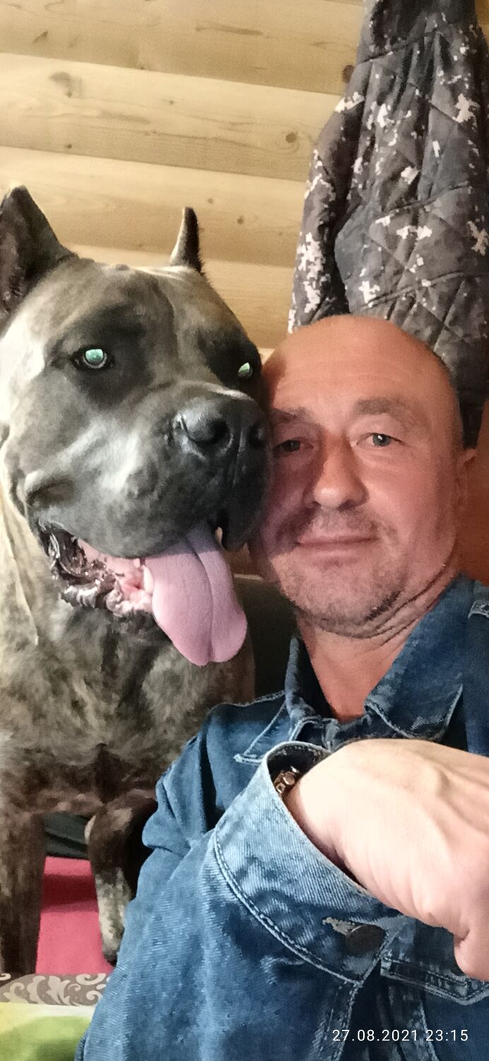 ���������� �����������, ���� ������� �������, 52 ����, ������������ ��� ������, ����� � ���������, c�������� ���������