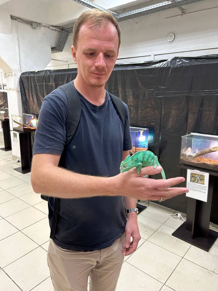 ���� 38464129 ������� �����, 37 ���, ���� ���������� � �����������