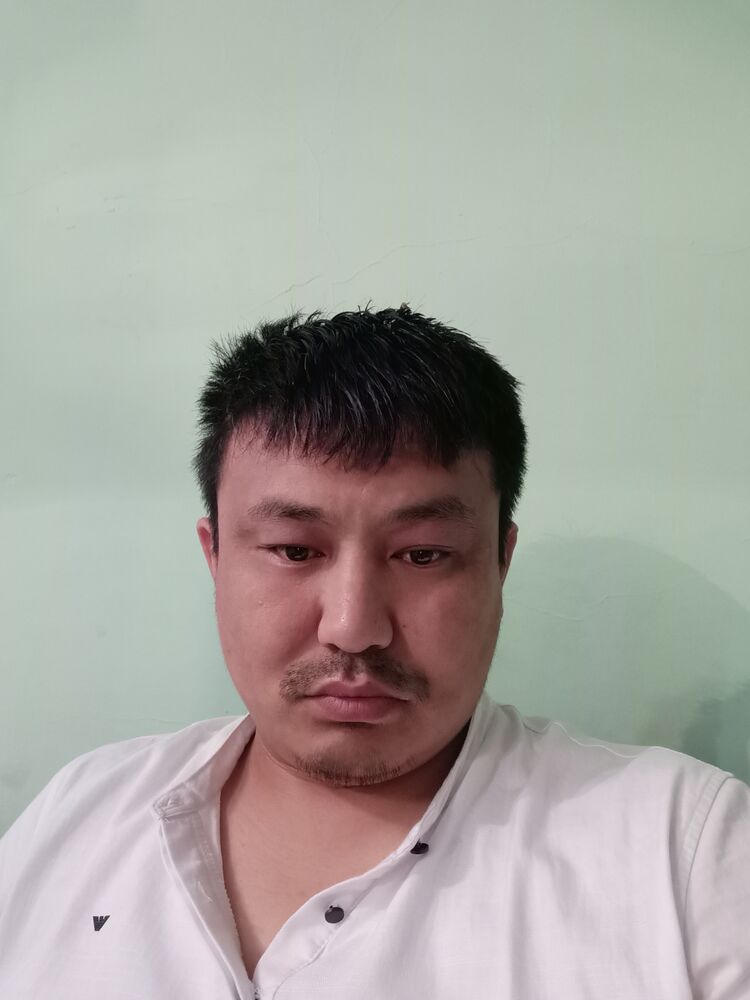 26994259  , 38 ,    