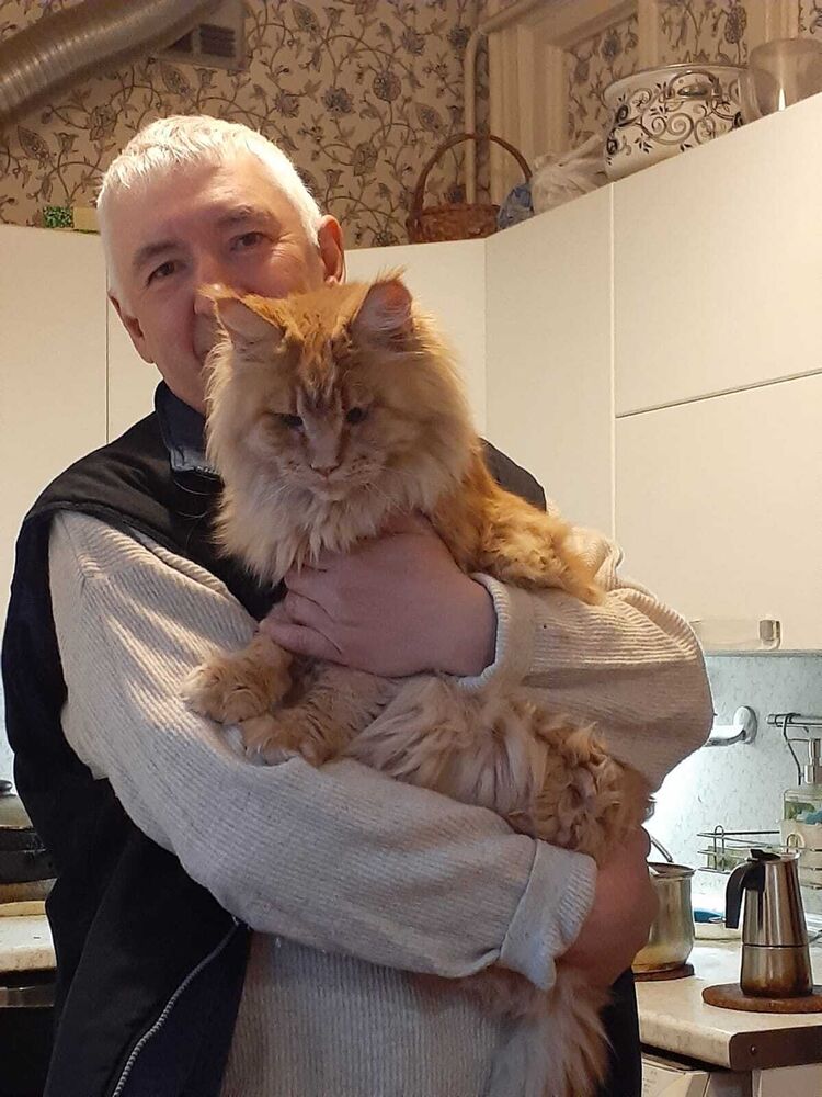 ���� 36254199 ������� ������, 58 ���, ���� ���������� � �����-����������