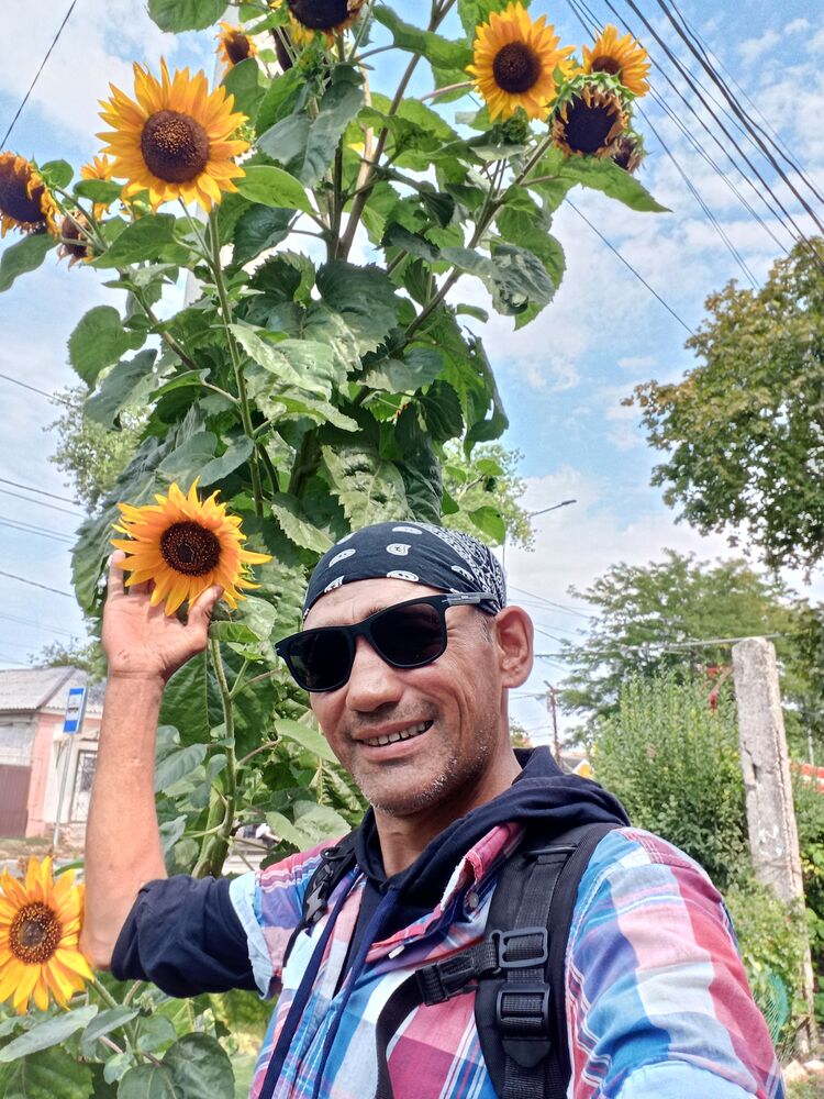 ���� 53926139 ������� �����, 45 ���, ���� ���������� � �����