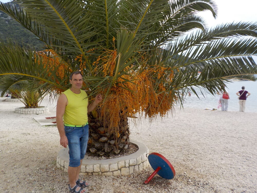 ���� 5652239 ������� Aaa, 57 ���, ���� ���������� � Muhlhausen