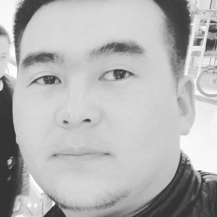 ���� 25313109 ������� ����, 33 ����, ���� ���������� � �������