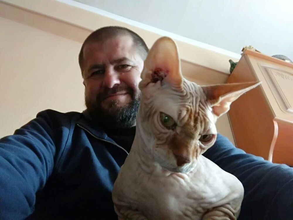 ���� 20983839 ������� �������, 45 ���, ���� ���������� � ����������