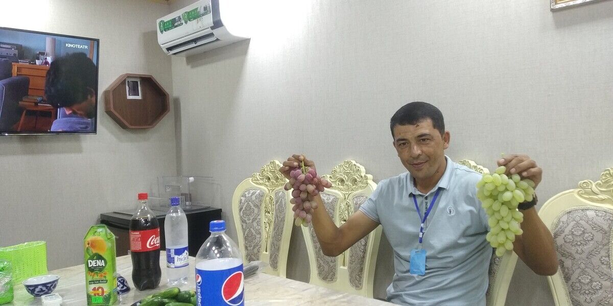 ���������� �������, ���� ������� Komiljon, 40 ���, ������������ ��� ������, ����� � ���������, c�������� ���������