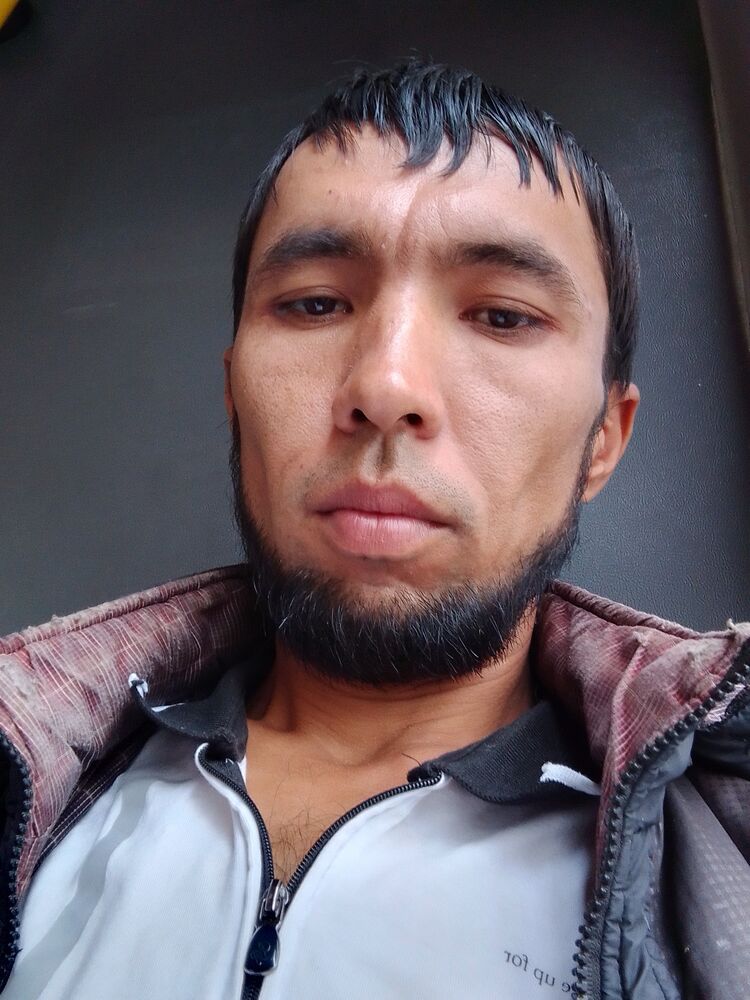  36356479  , 33 ,    
