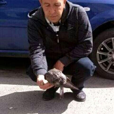 ���������� ������������, ���� ������� �����, 57 ���, ������������ ��� ������, ����� � ���������, ���������