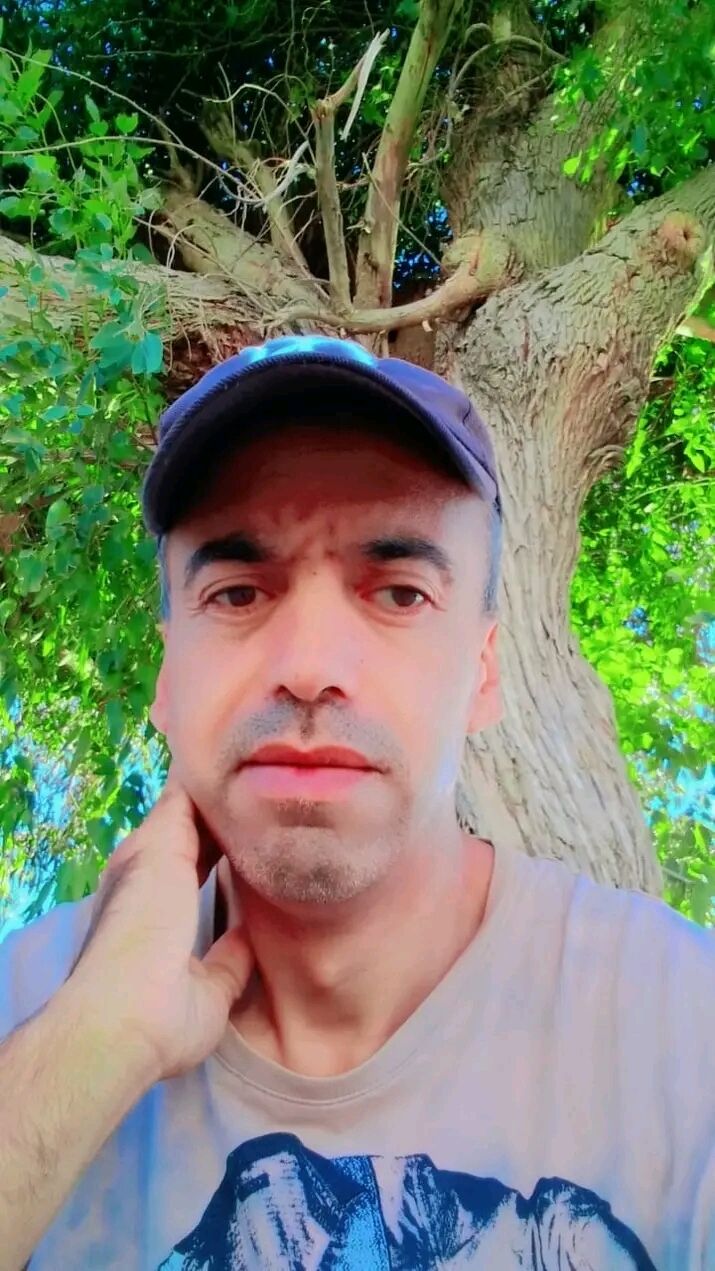  ,    , 43 ,   ,   
