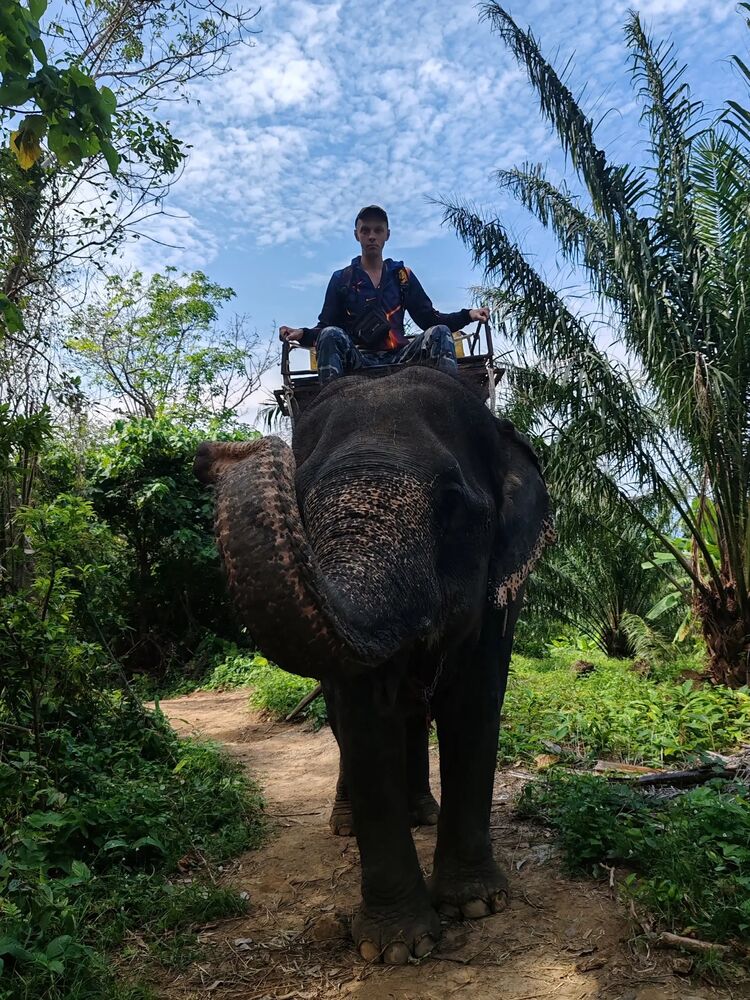 ���������� �����-���������, ���� ������� ������, 39 ���, ������������ ��� ����� � ���������, c�������� ���������