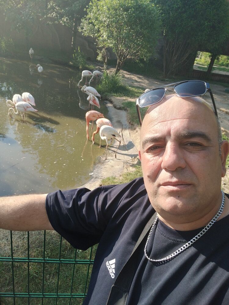 ���� 43965869 ������� ������������, 44 ����, ���� ���������� � ������ ���������